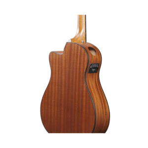 Guitarra electroacústica Ibanez AAM54CE-OPN - Imagen 2