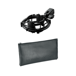 Micrófono condensador Audio-Technica AT2035 - Imagen 4