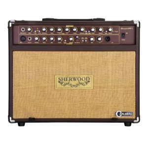 Amplificador de guitarra acústica Sherwood 60 W - Imagen 2