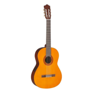 Guitarra Tagima Dallas EQ DSBS - Imagen 5