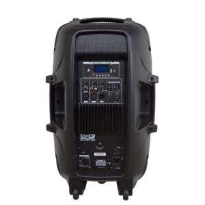 Cabina Activa Pro DJ PSI15-MP3 MKII - Imagen 2