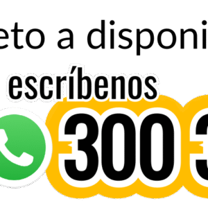 Guitarra Acústica Andalucía Cedro + Forro - Imagen 2