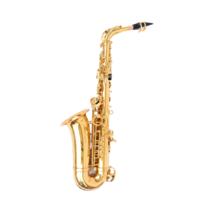 Saxofón alto Ayson AS-2000 - Imagen 1