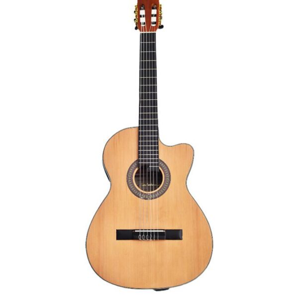 guitarra-electroacustica-andalucia-2