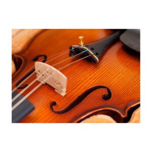 Violín Greko VM118Y 4/4 - Imagen 3