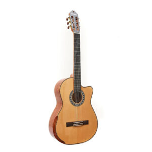 Guitarra Electroacústica Persian AC181AC-E - Imagen 5